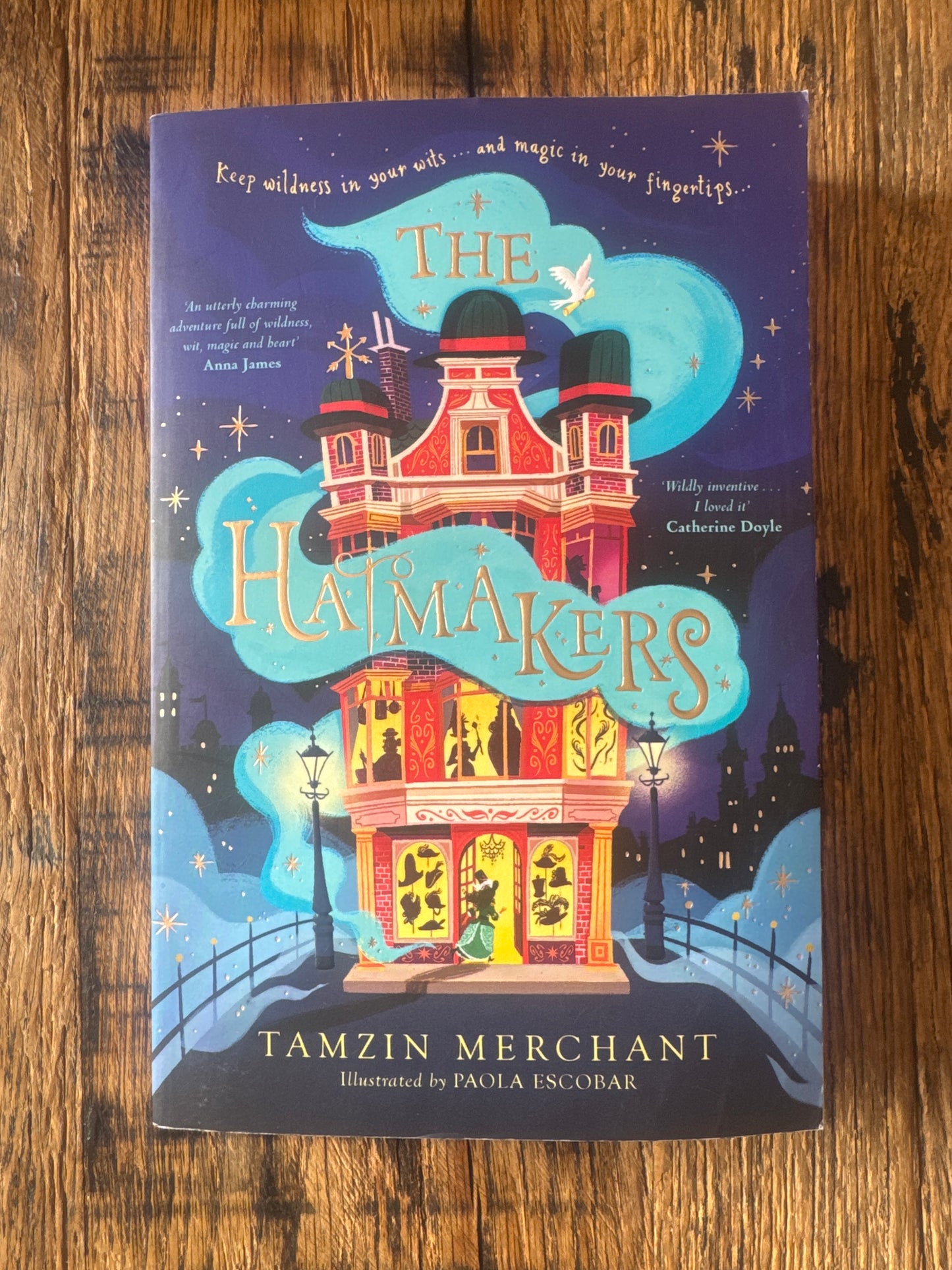 The Hatmakers by Tamzin Merchant