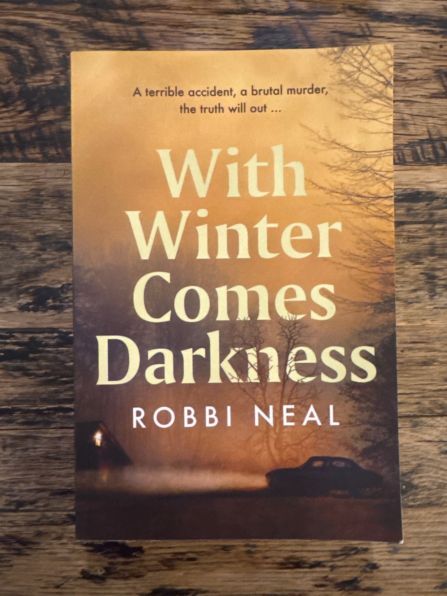 With Winter Comes Darkness by Robbi Neal