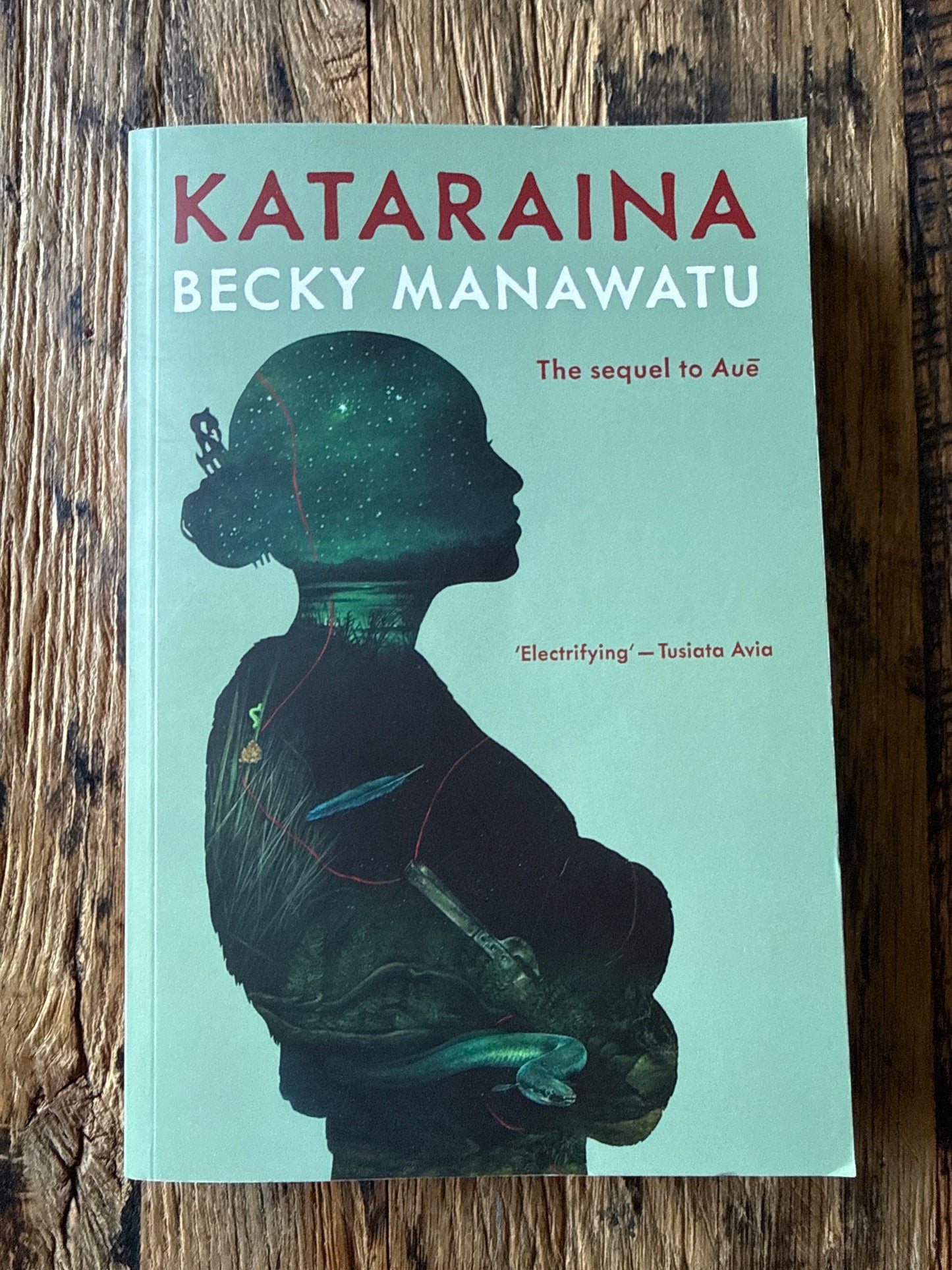 Kataraina by Becky Manawatu
