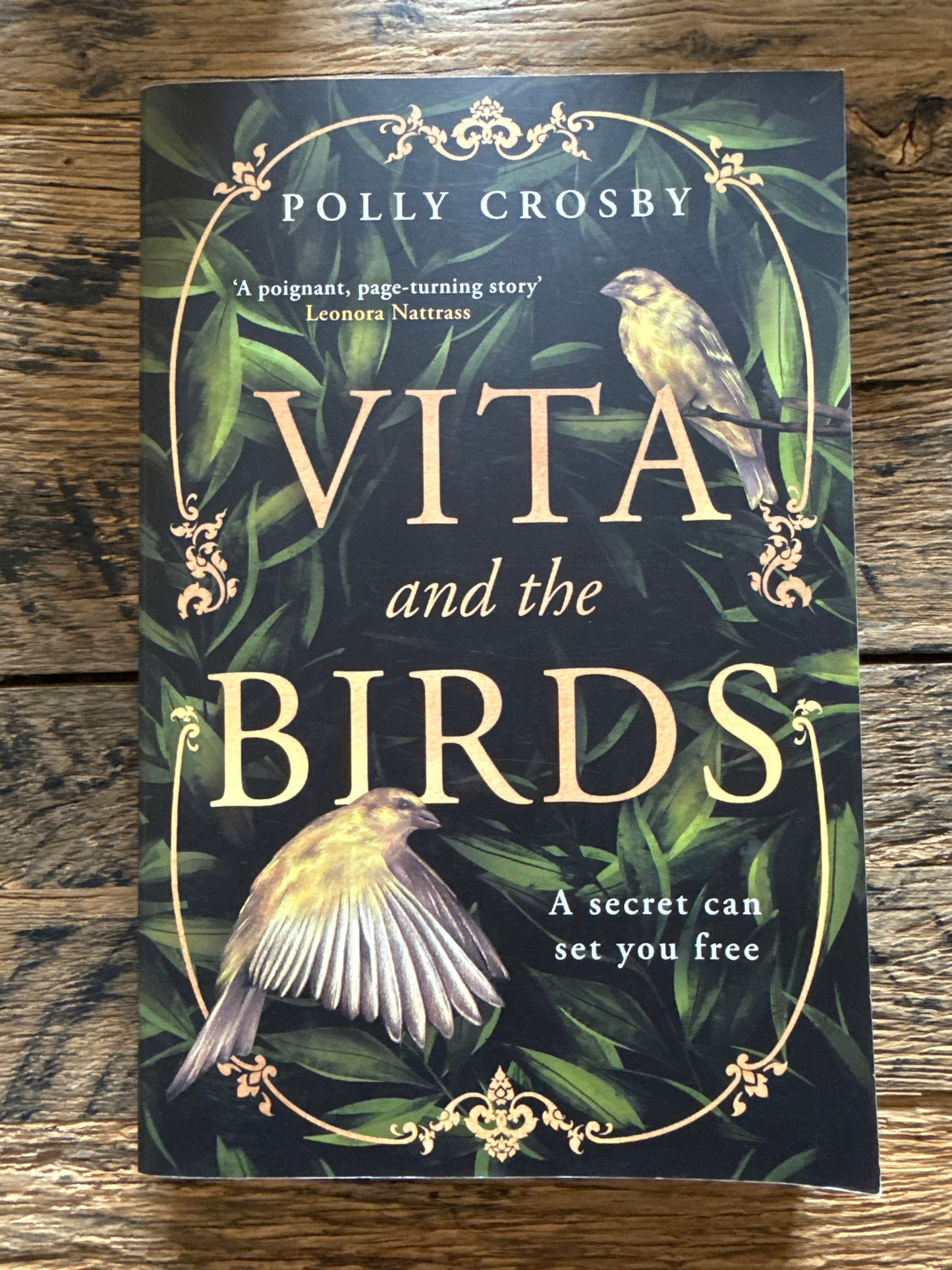 Vita and the Birds by Polly Crosby