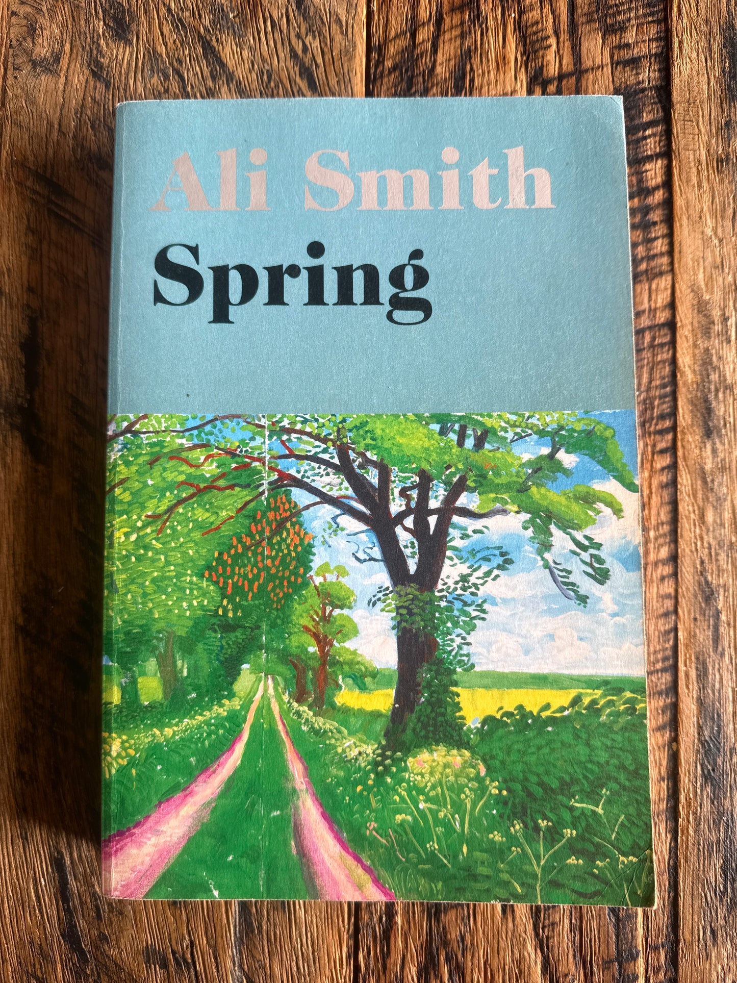 SPRING by Ali Smith