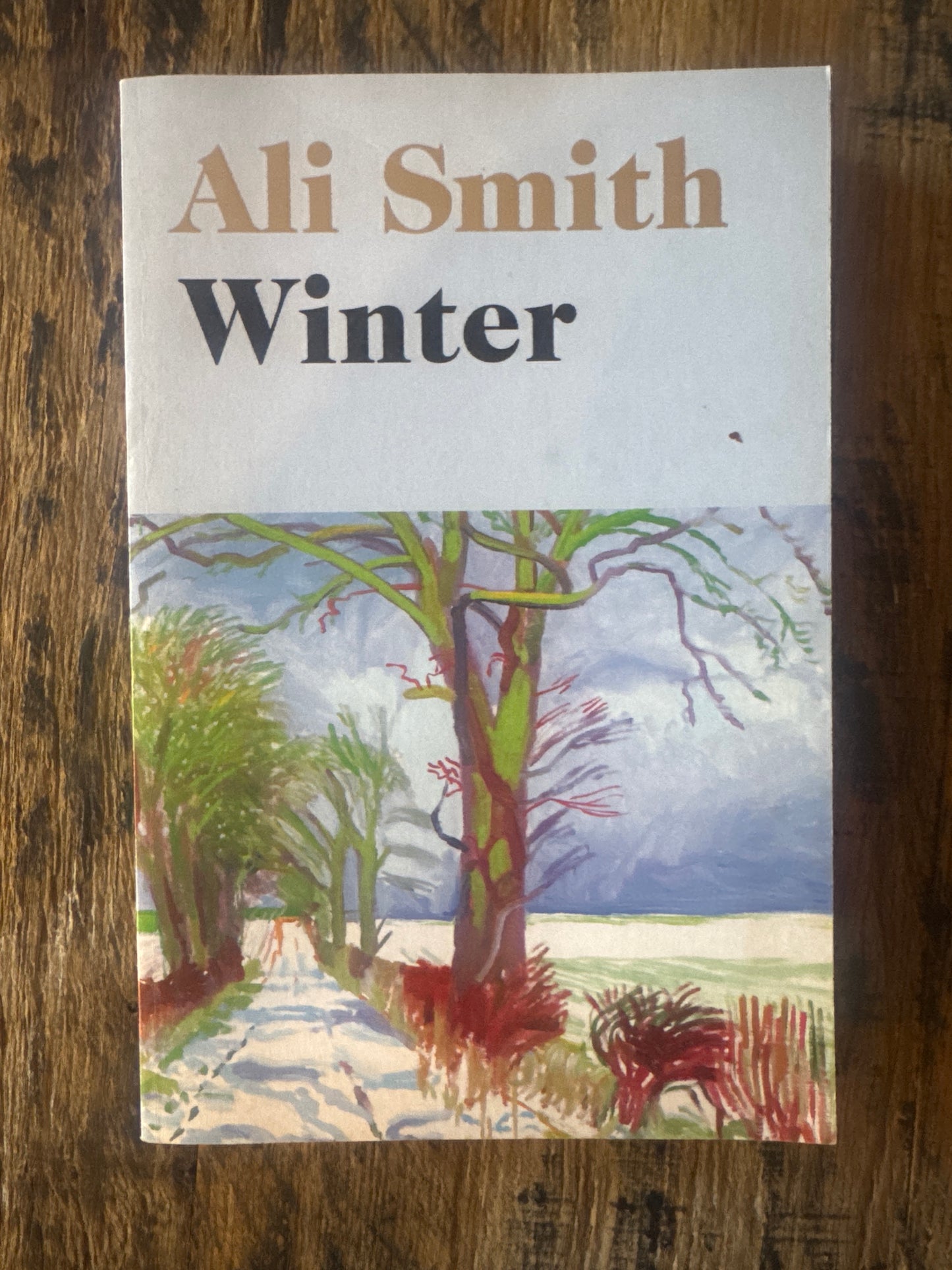 Winter by Ali Smith
