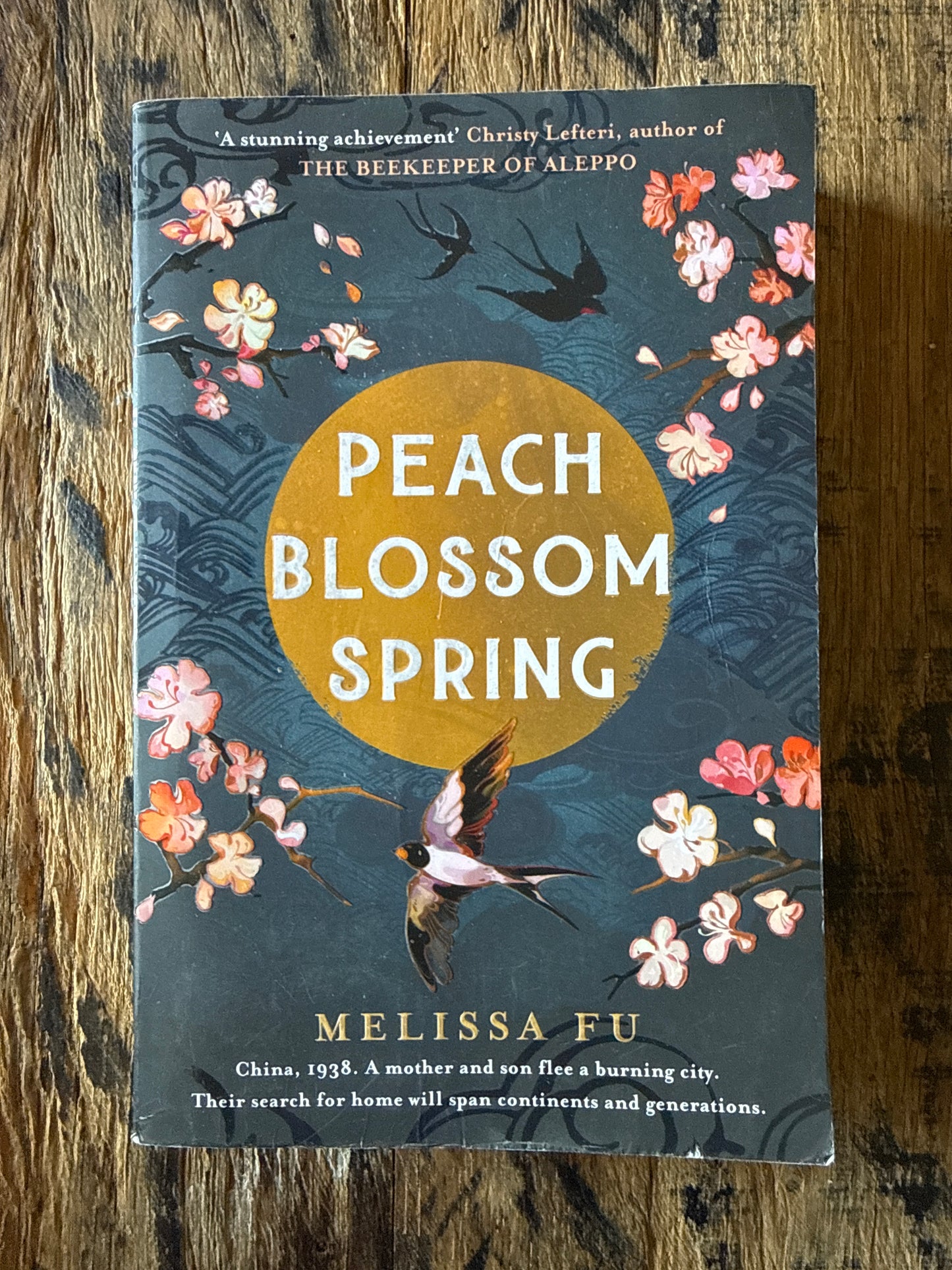 Peach Blossom Spring by Melissa Fu