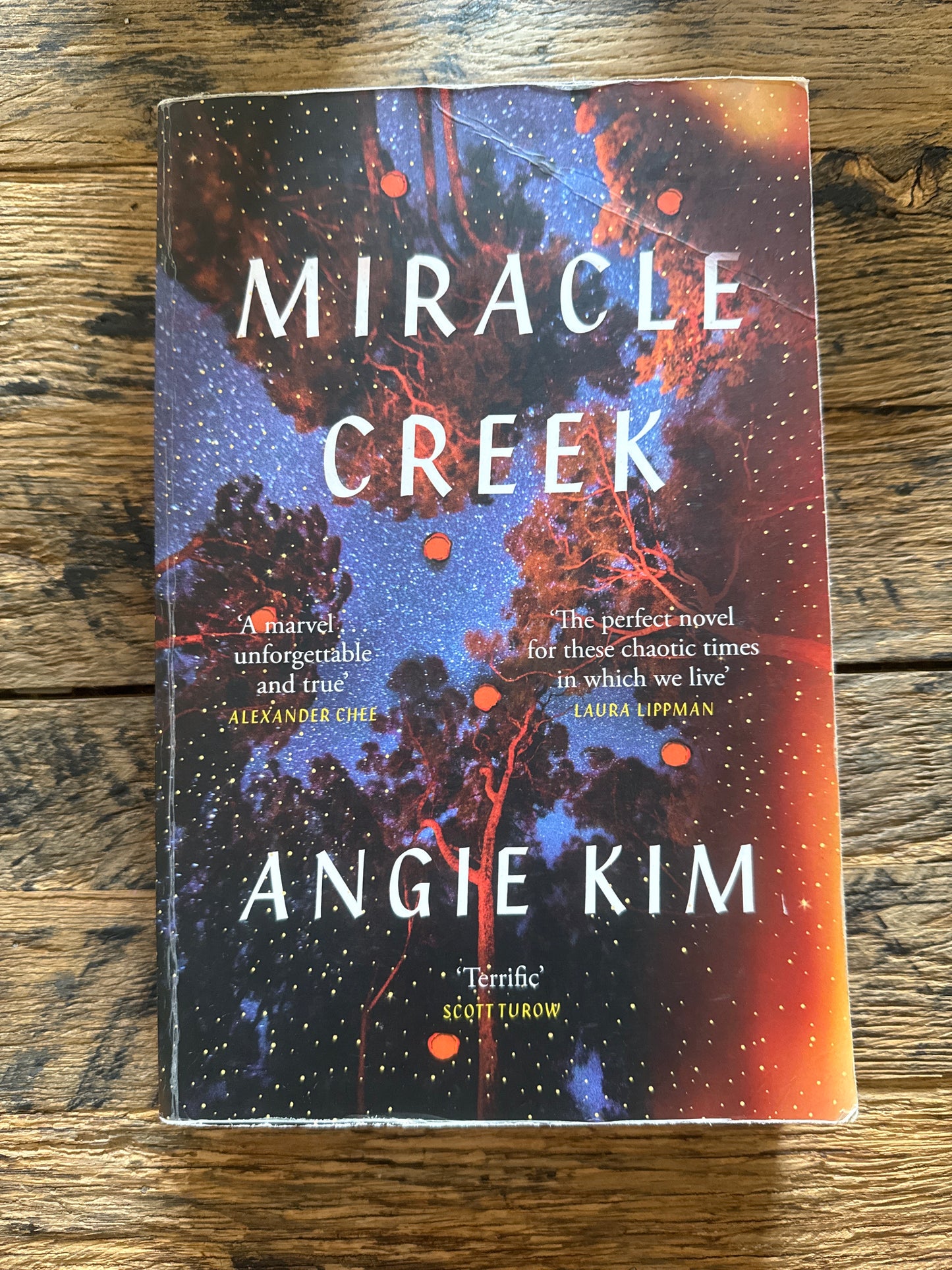Miracle Creek by Angie Kim
