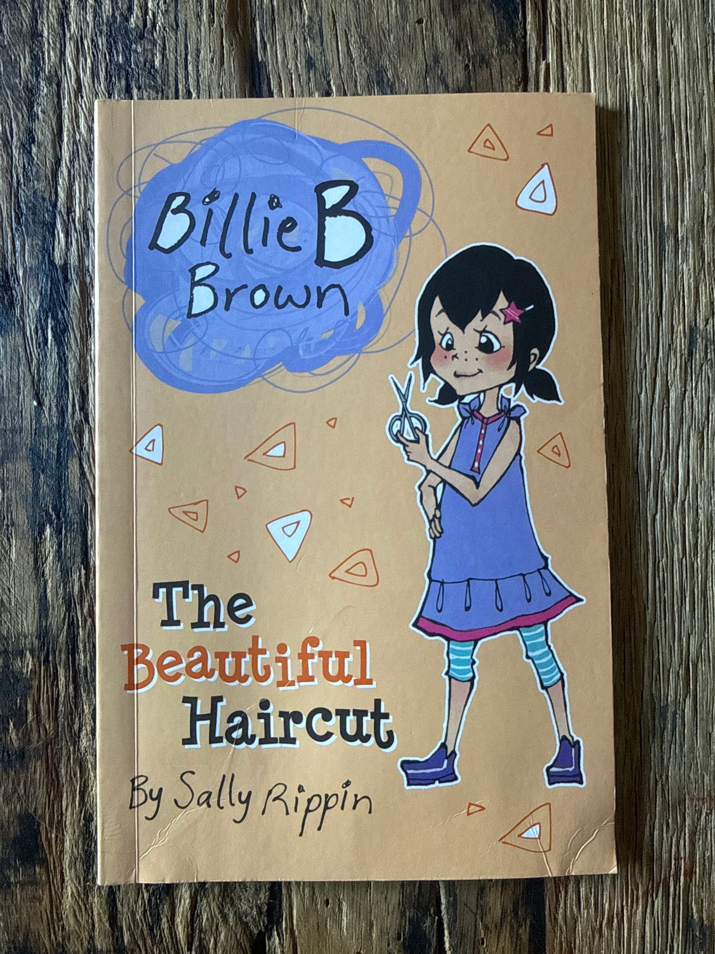 The Beautiful Haircut (Billie B Brown) by Sally Rippin