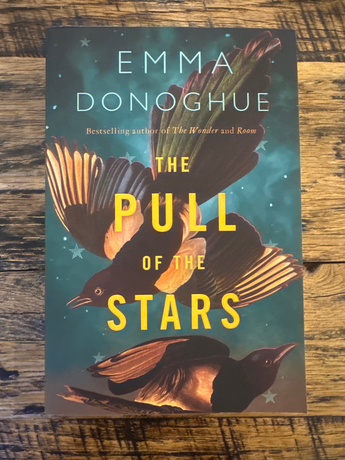 The Pull of the Stars by Emma Donoghue