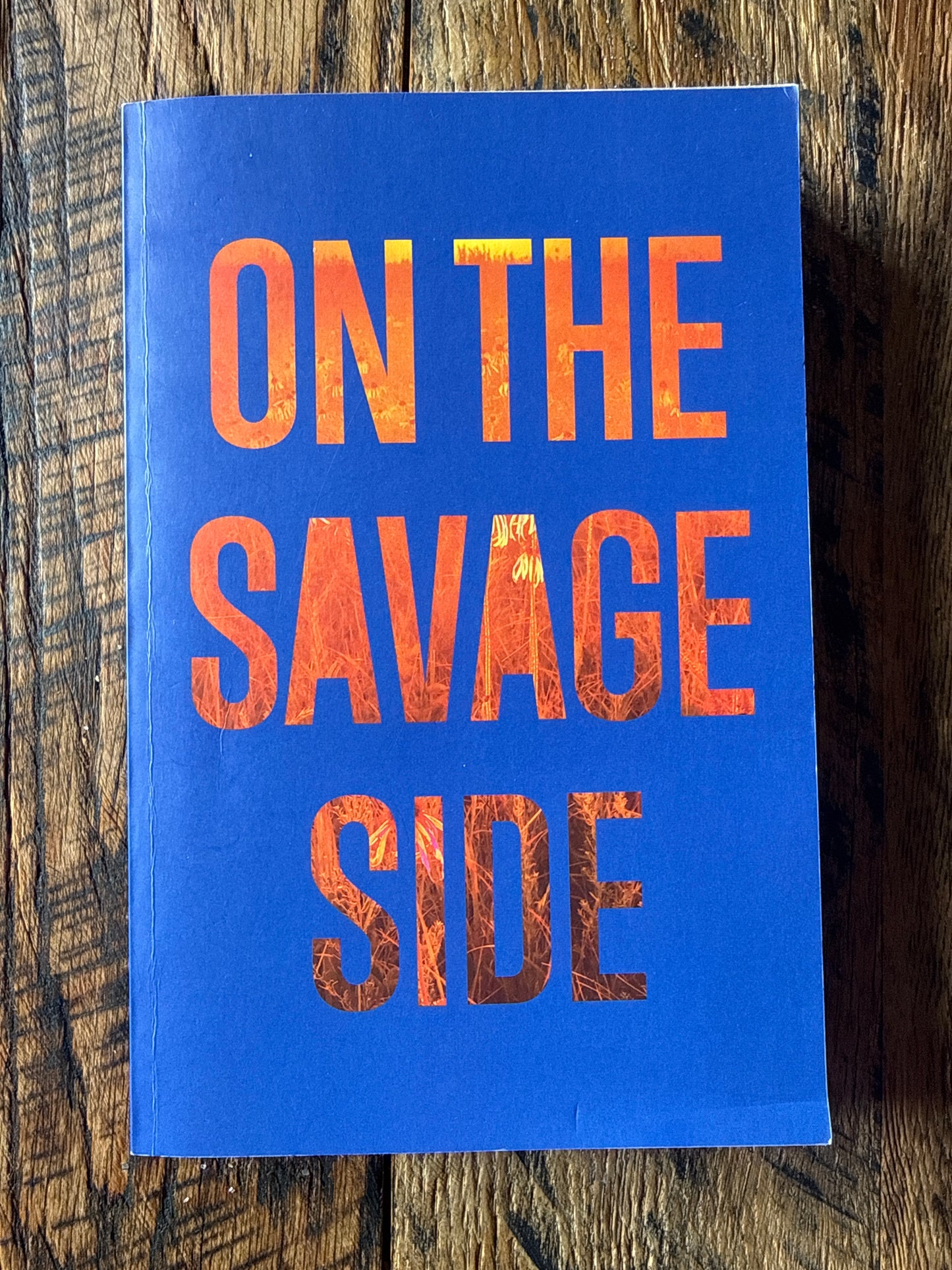On The Savage Side by Tiffany McDaniel (ARC)