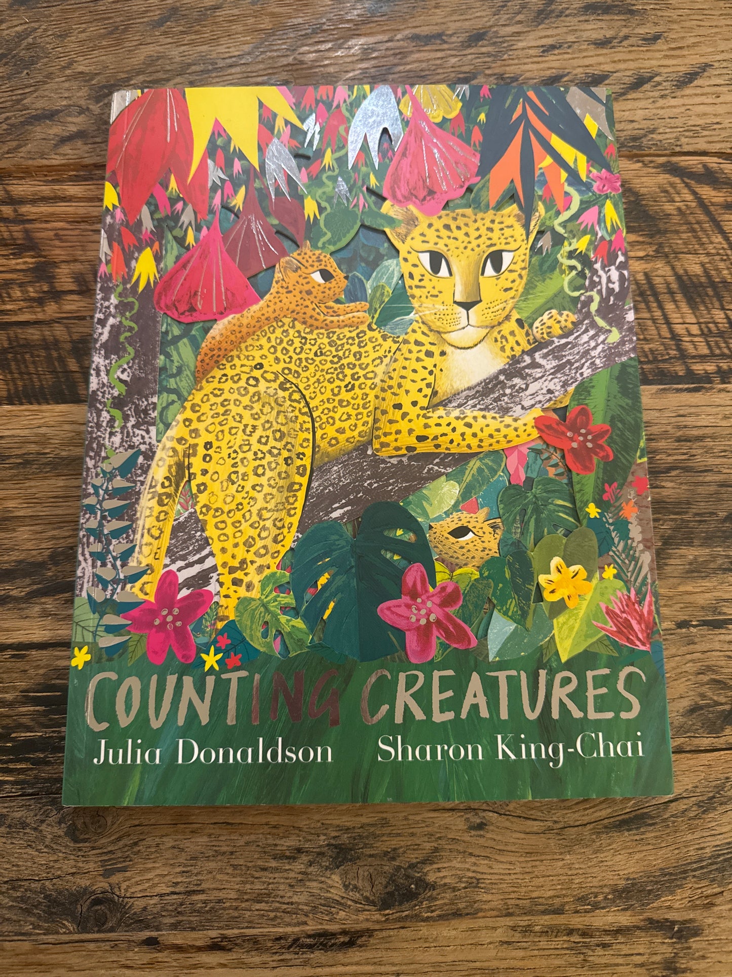 Counting Creatures by Julia Donaldson