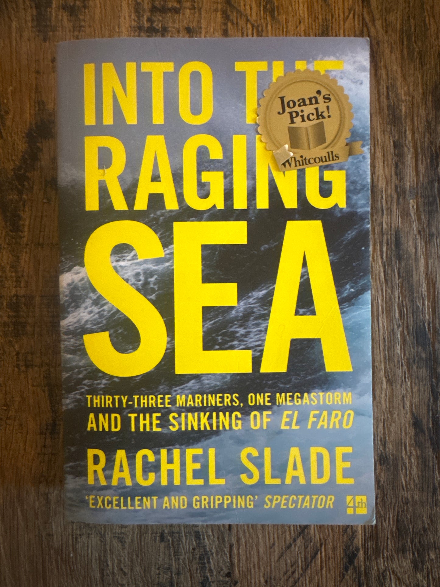 Into the Raging Sea: thirty three mariners, one mega storm and the sinking El Faro by Rachel Slade