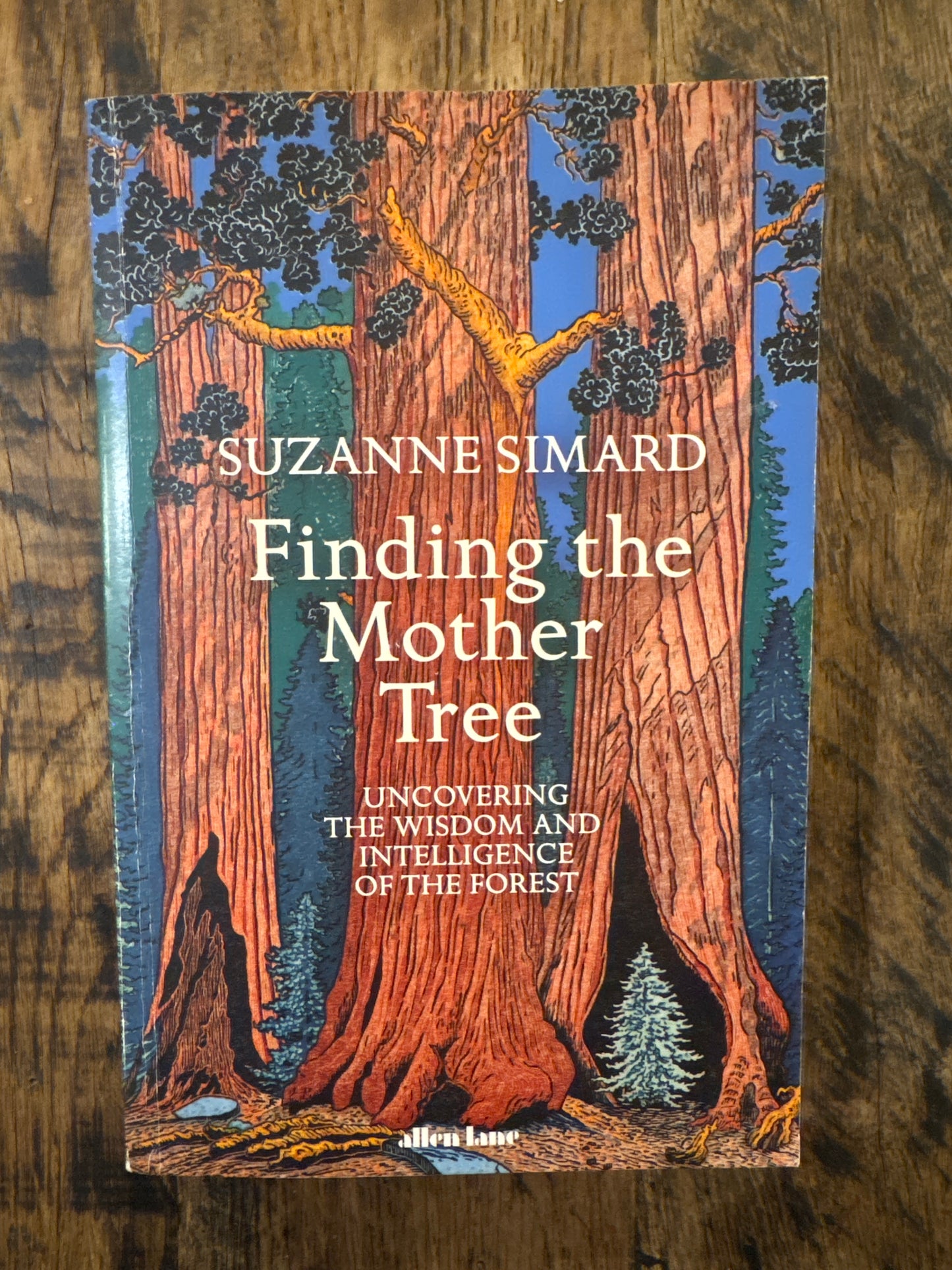Finding the Mother Tree by Suzanne Simard