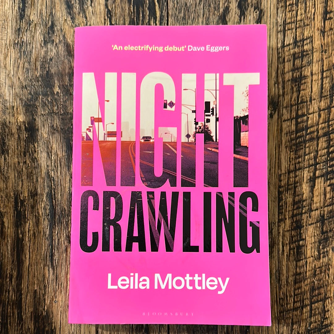 Night Crawling by Leila Mottley