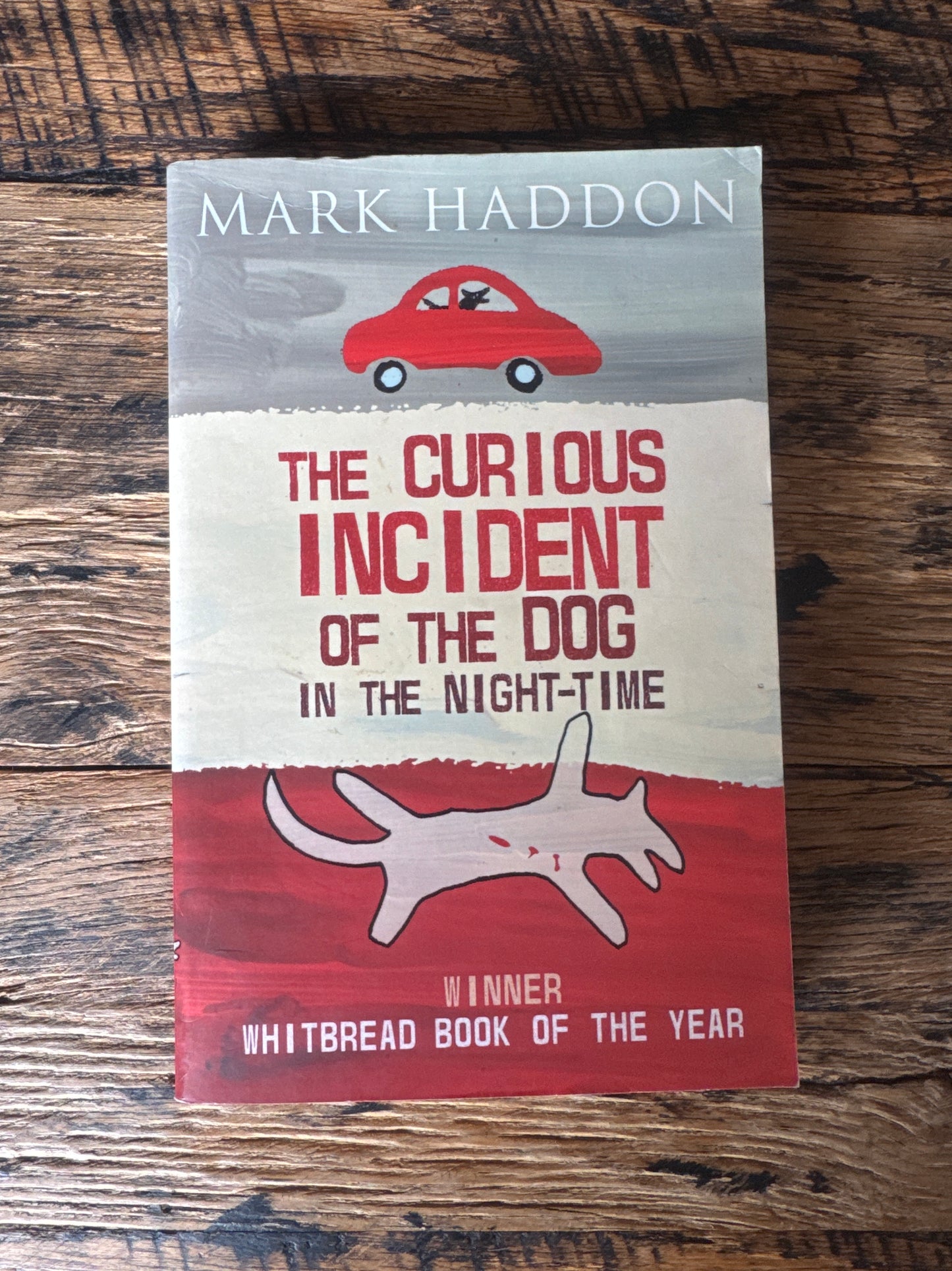 The Curious Incident of the Dog in the Night-Time by Mark Haddon