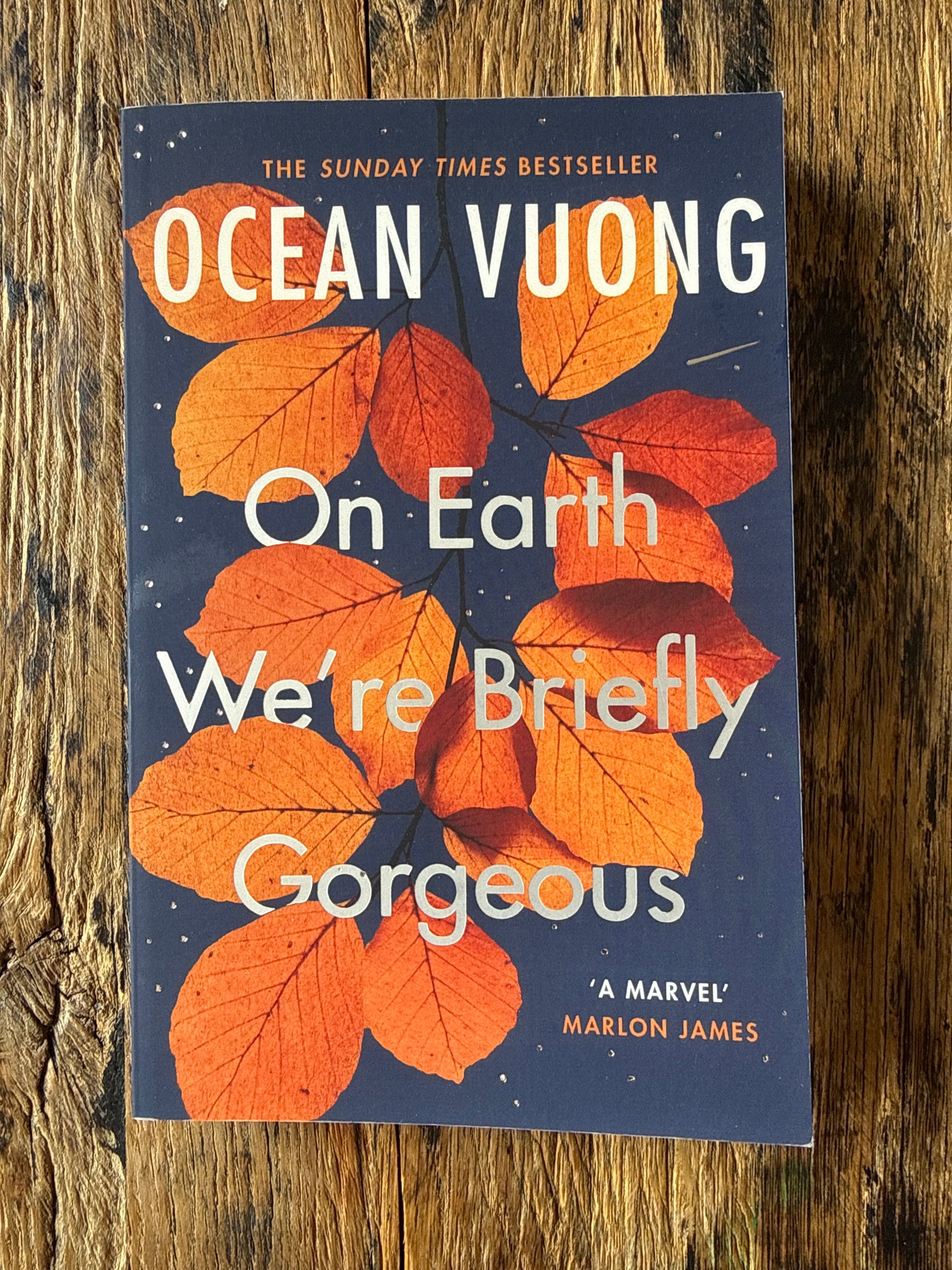 On Earth We're Briefly Gorgeous by Ocean Vuong