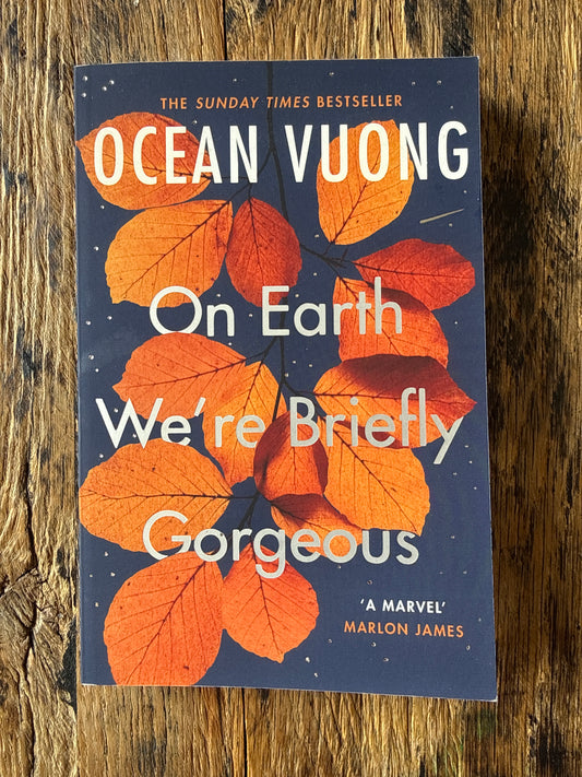 On Earth We're Briefly Gorgeous by Ocean Vuong