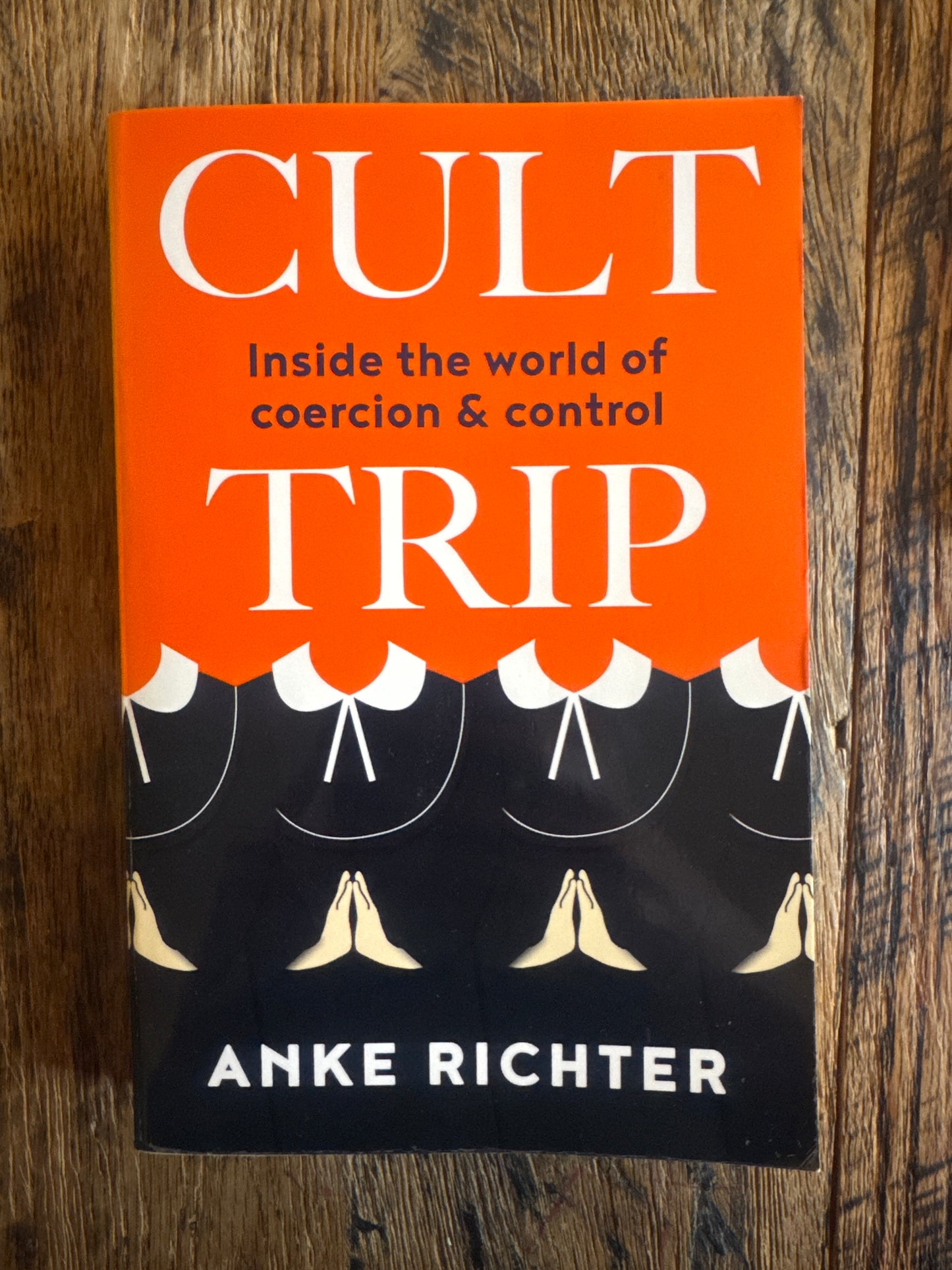 Cult Trip: Inside the world of coercion and control by Anke Richter