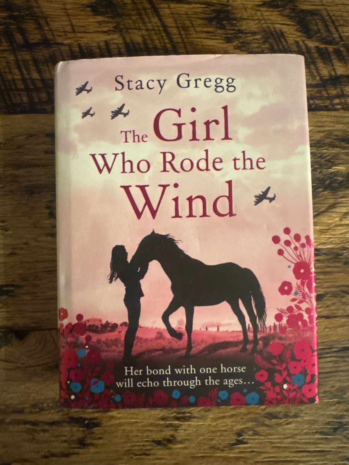 The Girl Who Rode the Wind by Stacy Gregg