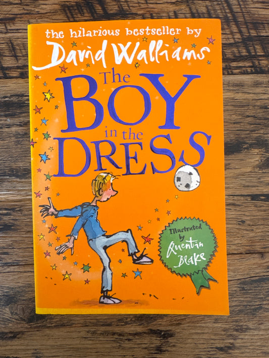 The Boy in the Dress by David Walliams