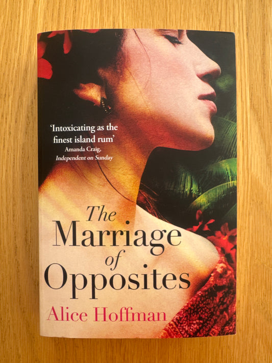 The Marriage of Opposites by Alice Hoffman
