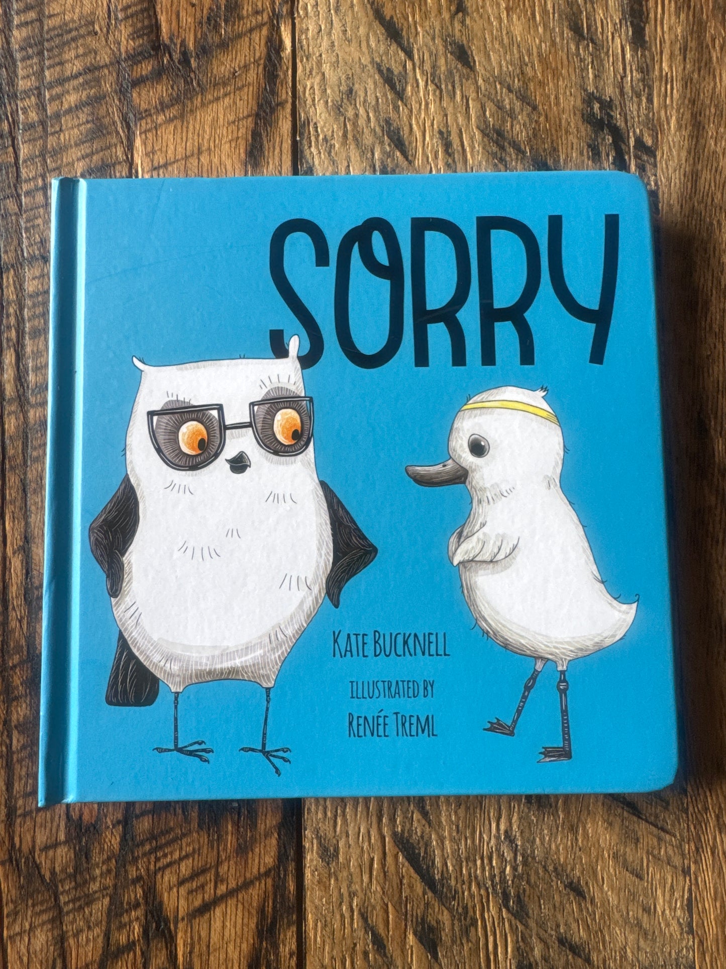 Sorry by Kate Bucknell