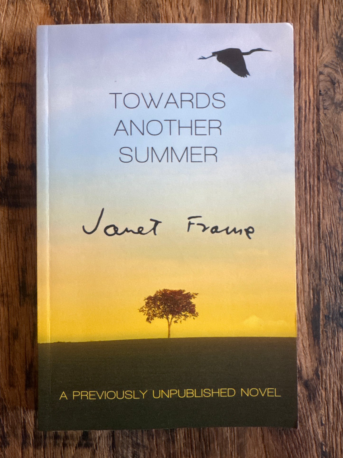 Towards Another Summer by Janet Frame