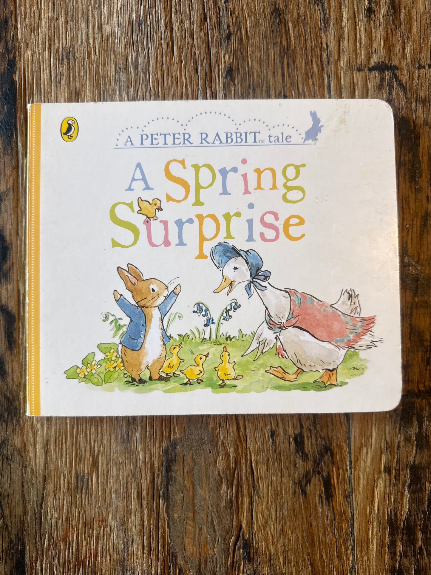 A Spring Surprise (Hardcover - board book) by Beatrix Potter