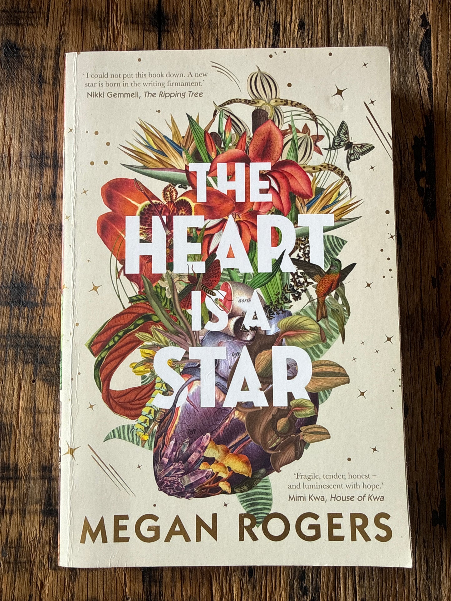 The Heart Is A Star by Megan Rogers