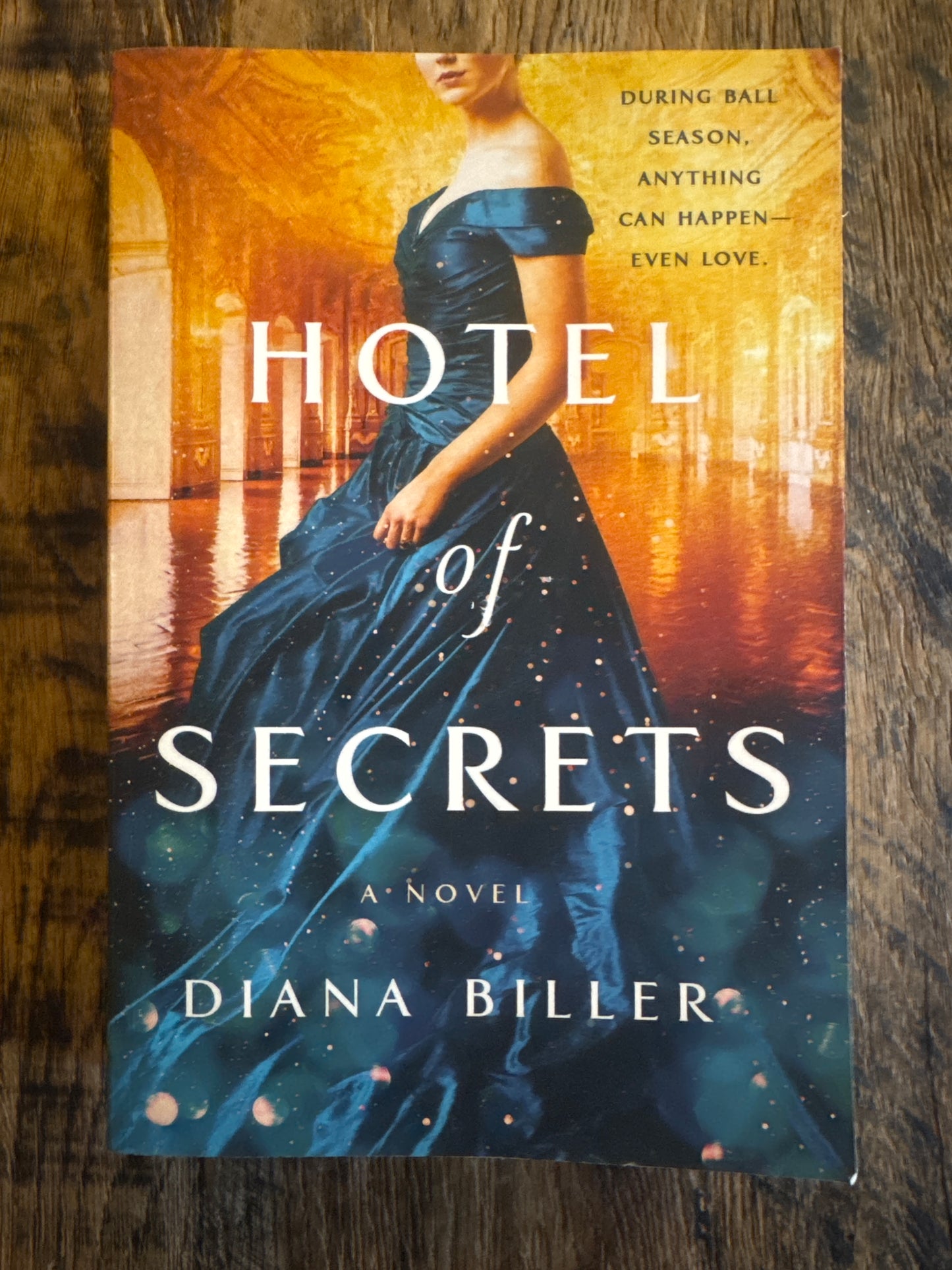 Hotel of Secrets by Diana Biller