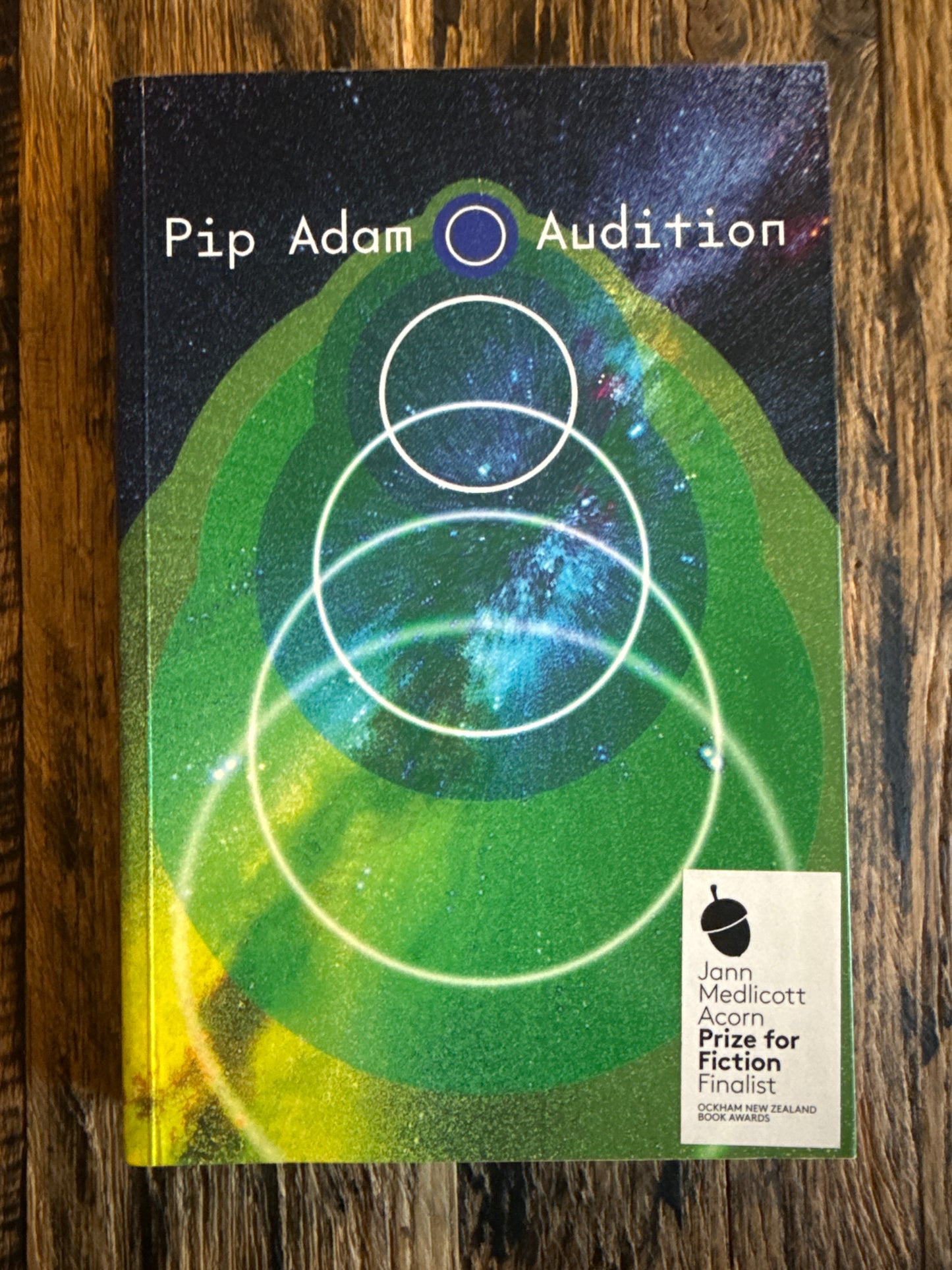 Audition by Pip Adam
