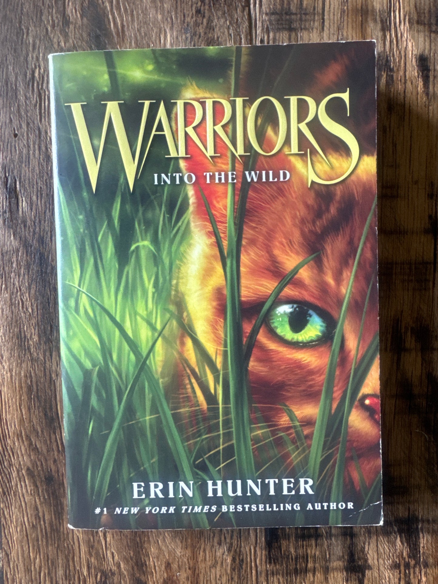 Warriors into the wild by Erin Hunter