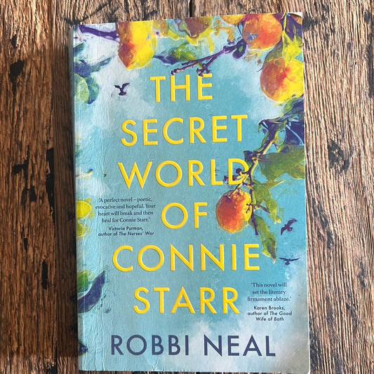 The Secret World of Connie Starr by Robbi Neal