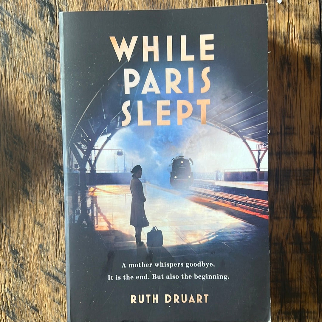 While Paris Slept by Ruth Druart